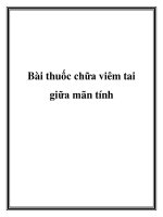 Bài thuốc chữa viêm tai giữa mãn tính pot