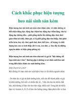 Cách khắc phục hiện tượng heo nái sinh sản kém pdf