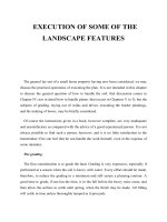 EXECUTION OF SOME OF THE LANDSCAPE FEATURES ppt