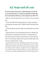 Kỹ thuật nuôi dế cơm pptx