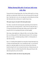 Những thương hiệu phá vỡ mọi quy luật trong cuộc sống ppt