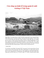 Các công cụ kinh tế trong quản lý môi trường ở Việt Nam potx