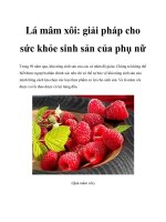 Lá mâm xôi: giải pháp cho sức khỏe sinh sản của phụ nữ pps