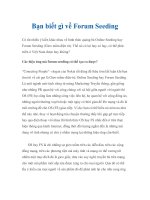 Bạn biết gì về Forum Seeding ppt