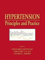 Hypertension: Principles and Practice pptx