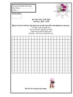 Đề thi viết chữ đẹp 2009 - 2010