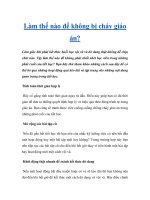 Làm thế nào để không bị cháy giáo án? ppt