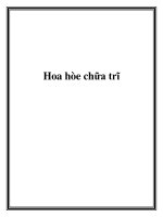 Hoa hòe chữa trĩ pot