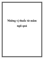 Những vị thuốc từ mâm ngũ quả pps