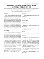 báo cáo nghiên cứu khoa học kỹ thuật  nghiên cứu quy trình để sản xuất chitosan màng từ shell tôm và xin màng chitosan trong coservation thuỷ sản