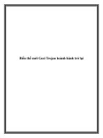 Biến thể mới Gozi Trojan hoành hành trở lại pdf