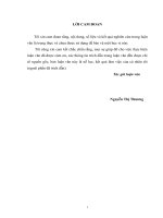 Phát triển sản xuất khoai tây ở các hộ nông dân tại địa bàn xã Cẩm Vịnh huyện Cẩm Xuyên tỉnh Hà Tĩnh.