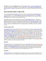 NHO GIÁO- QUÁ TRÌNH HÌNH THÀNH VÀ PHÁT TRIỂN