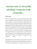 Xem lọat tranh A.C.I.D của Bùi Anh Phong: Vài ghi chú về một sự khởi đầu… pdf