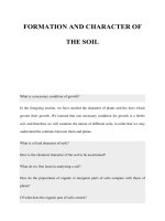 FORMATION AND CHARACTER OF THE SOIL pptx