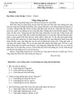 Đề kiểm tra định kì cuối học kì 1 năm học 2010 - 2011 môn tiếng việt lớp 5 potx