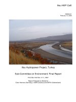 Sub-Committee on Environment: Final Report docx