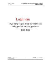 Luận văn: Thực trạng và giải pháp đẩy mạnh xuất khẩu gạo của nước ta giai đoạn 2008-2010 pot
