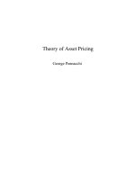 Theory of Asset Pricing pot