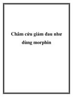 Châm cứu giảm đau như dùng morphin ppt