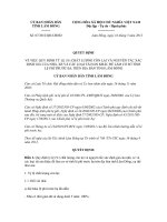 Quyết định số 07/2012/QĐ-UBND pot