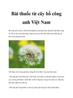 Bài thuốc từ cây bồ công anh Việt Nam pdf