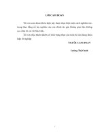 Giải pháp nâng cao thu nhập cho hộ gia đình xã Hải Ninh, huyện Tĩnh Gia, Tỉnh Thanh Hóa”