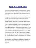 Quy luật phân chia docx