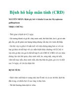 Bệnh hô hấp mãn tính (CRD) pot