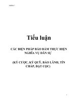 Luận văn: CÁC BIỆN PHÁP BẢO ĐẢM THỰC HIỆN NGHĨA VỤ DÂN SỰ potx