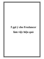 5 gợi ý cho Freelancer làm việc hiệu quả ppsx