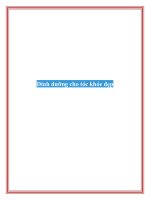 Dinh dưỡng cho tóc khỏe đẹp pdf