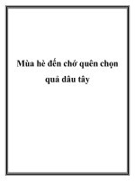 Mùa hè đến chớ quên chọn quả dâu tây. pot