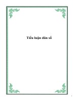 tiểu luận dân số