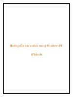 Hướng dẫn xóa cookie trong Windows PC (Phần 3) ppt