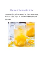 Công thức tẩy trắng da tự nhiên với dứa docx