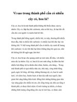 Vì sao trong thành phố cần có nhiều cây cỏ, hoa lá? ppt