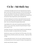 Củ ấu – bài thuốc hay doc