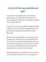 Cách nào để học ngoại ngữ hiệu quả nhất? pdf