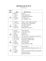 KEÁ HOAÏCH TUAÀN 8 pot