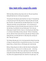 Quy luật triển vọng(viễn cảnh) pps