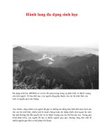 Hành lang đa dạng sinh học pot