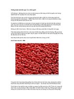 Những hình ảnh bất ngờ về cơ thể người