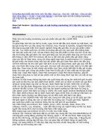 marketing tieu luan docx