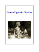 Human Figure in Charcoal potx