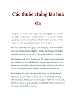 Các thuốc chống lão hoá da pdf