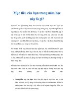 Mục tiêu của bạn trong năm học này là gì? pptx