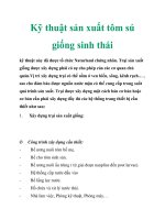 Kỹ thuật sản xuất tôm sú giống sinh thái pot