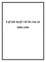 Lợi ích tuyệt vời từ rau củ màu cam pdf
