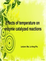 Effects of temperature on enzyme catalyzed reactions doc